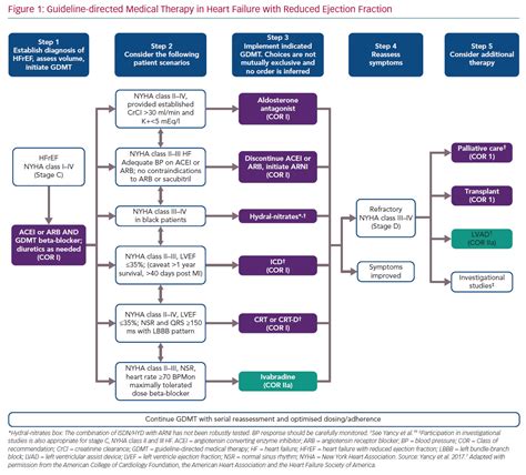 gdmt guideline-directed medical therapy